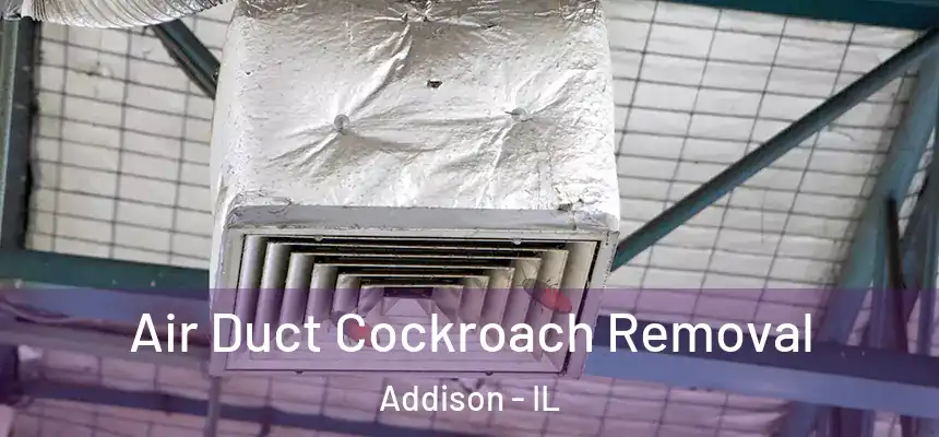 Air Duct Cockroach Removal Addison - IL