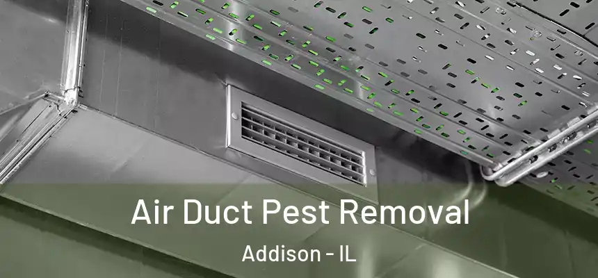  Air Duct Pest Removal Addison - IL