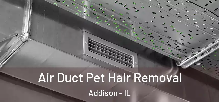 Air Duct Pet Hair Removal Addison - IL