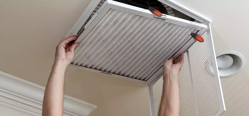 Our Insect Removal from Air Ducts Services in Addison, IL