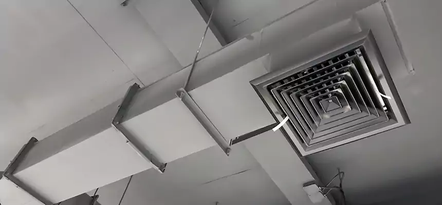 Our Rodent Droppings In Vents Services in Addison, IL