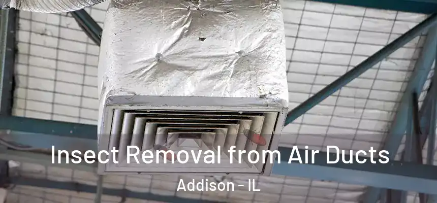 Insect Removal from Air Ducts Addison - IL
