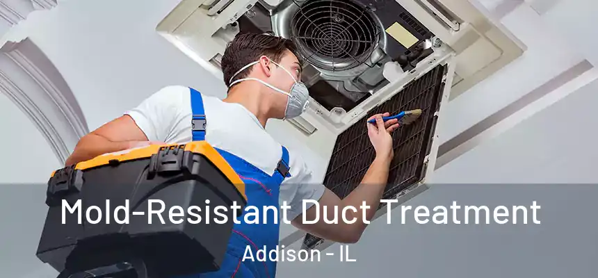  Mold-Resistant Duct Treatment Addison - IL