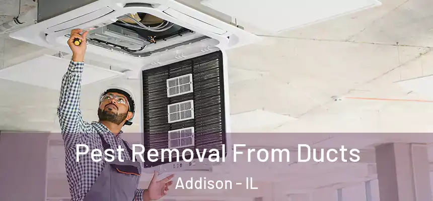  Pest Removal From Ducts Addison - IL
