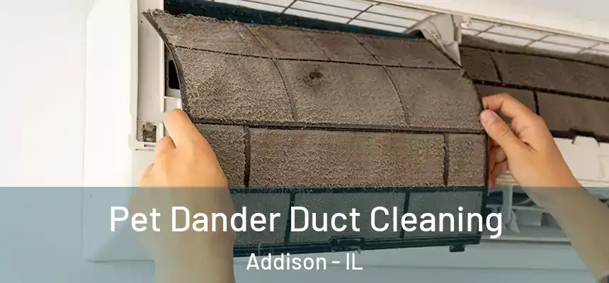 Pet Dander Duct Cleaning Addison - IL