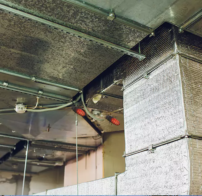 Why Homeowners & Businesses Trust Us in Addison, IL?