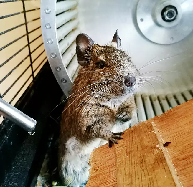 Why Homeowners & Businesses Trust Us Addison, IL?