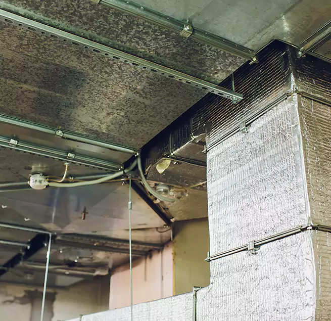 Why Homeowners & Businesses Trust Us in Addison, IL?